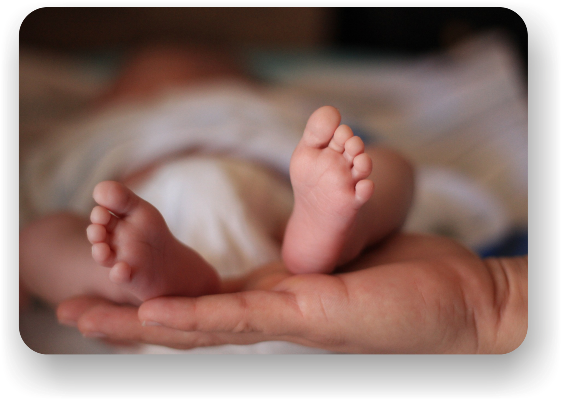 acupunctuur-en-chinese-kruiden-bij-iui-en-ivf-ivf-icsi